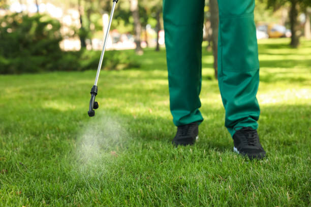 Best Pest Control for Homes  in Riverview, SC