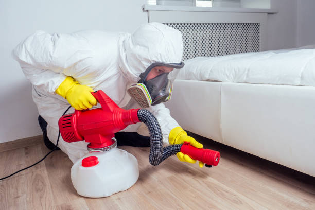 Best Local Pest Control Services  in Riverview, SC