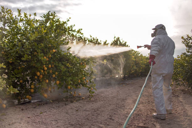 Best Pest Inspection Near Me  in Riverview, SC