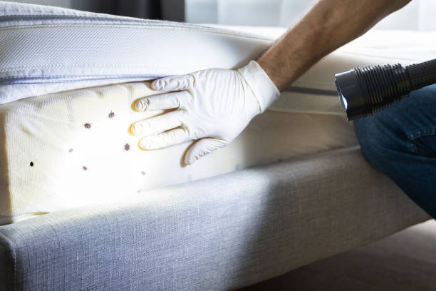 Best Best Pest Control Companies  in Riverview, SC