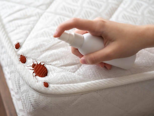 Best Residential Pest Control  in Riverview, SC