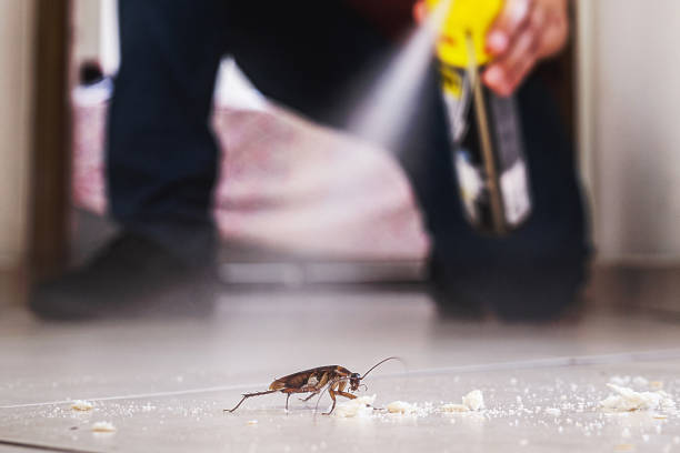 Best Pest Control Treatment  in Riverview, SC