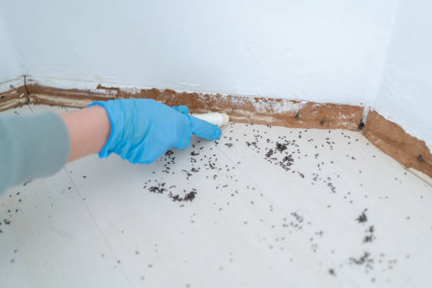 Best Commercial Pest Control Services  in Riverview, SC